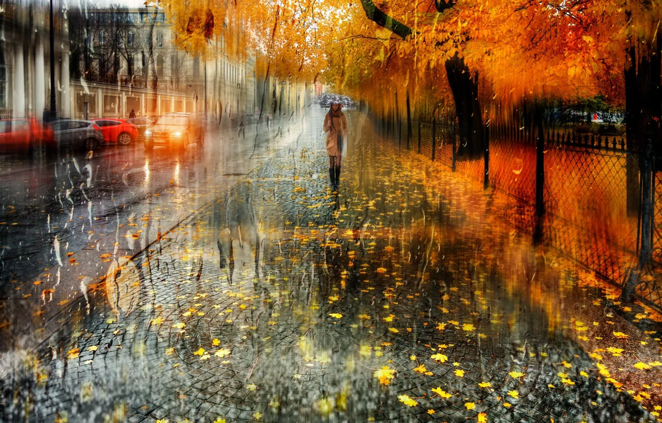 Фото обои мокро, осень, девушка, капли, город, улица, листва, зонт