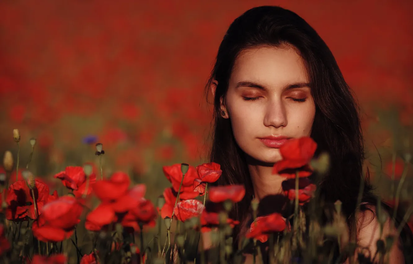 Фото обои poppies, Adriana, Maciej Werbliński