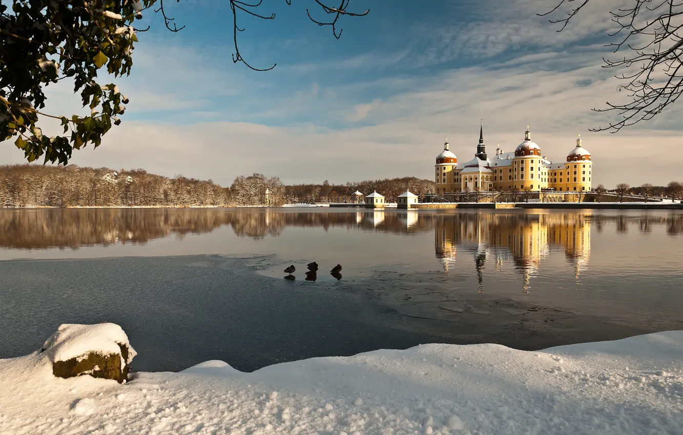Фото обои зима, вода, снег, озеро, отражение, Германия, Germany, Moritzburg Castle
