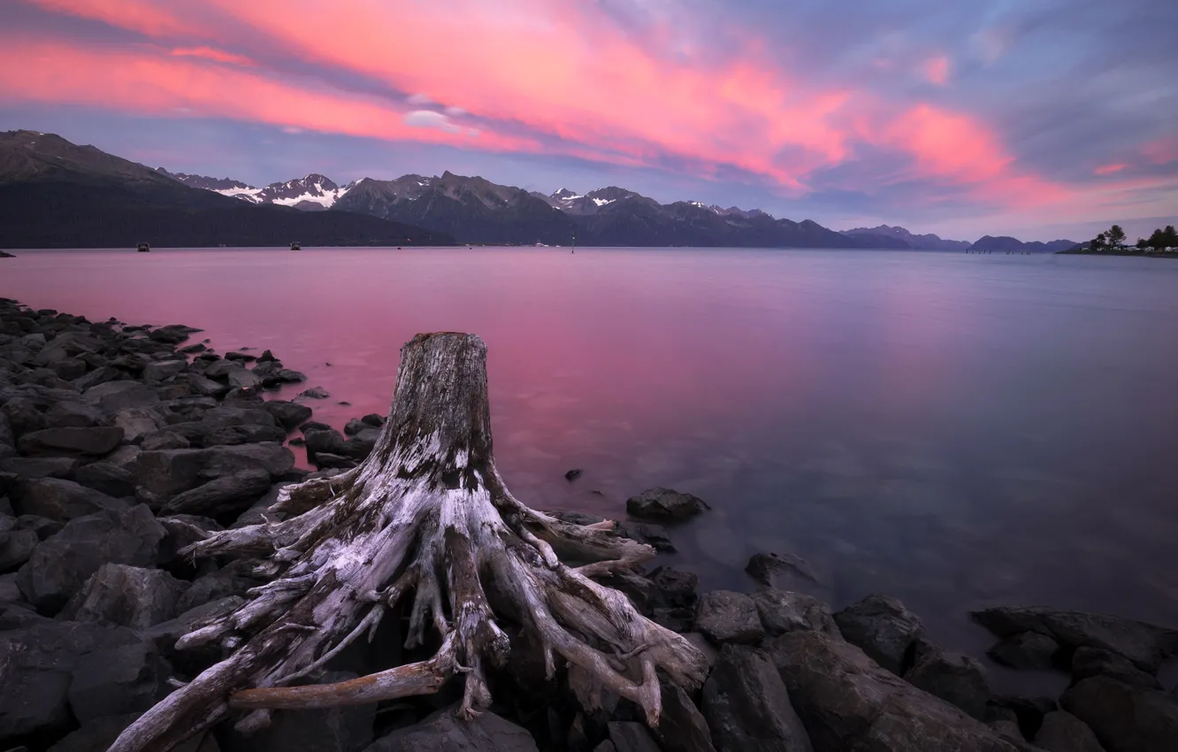 Фото обои закат, озеро, берег