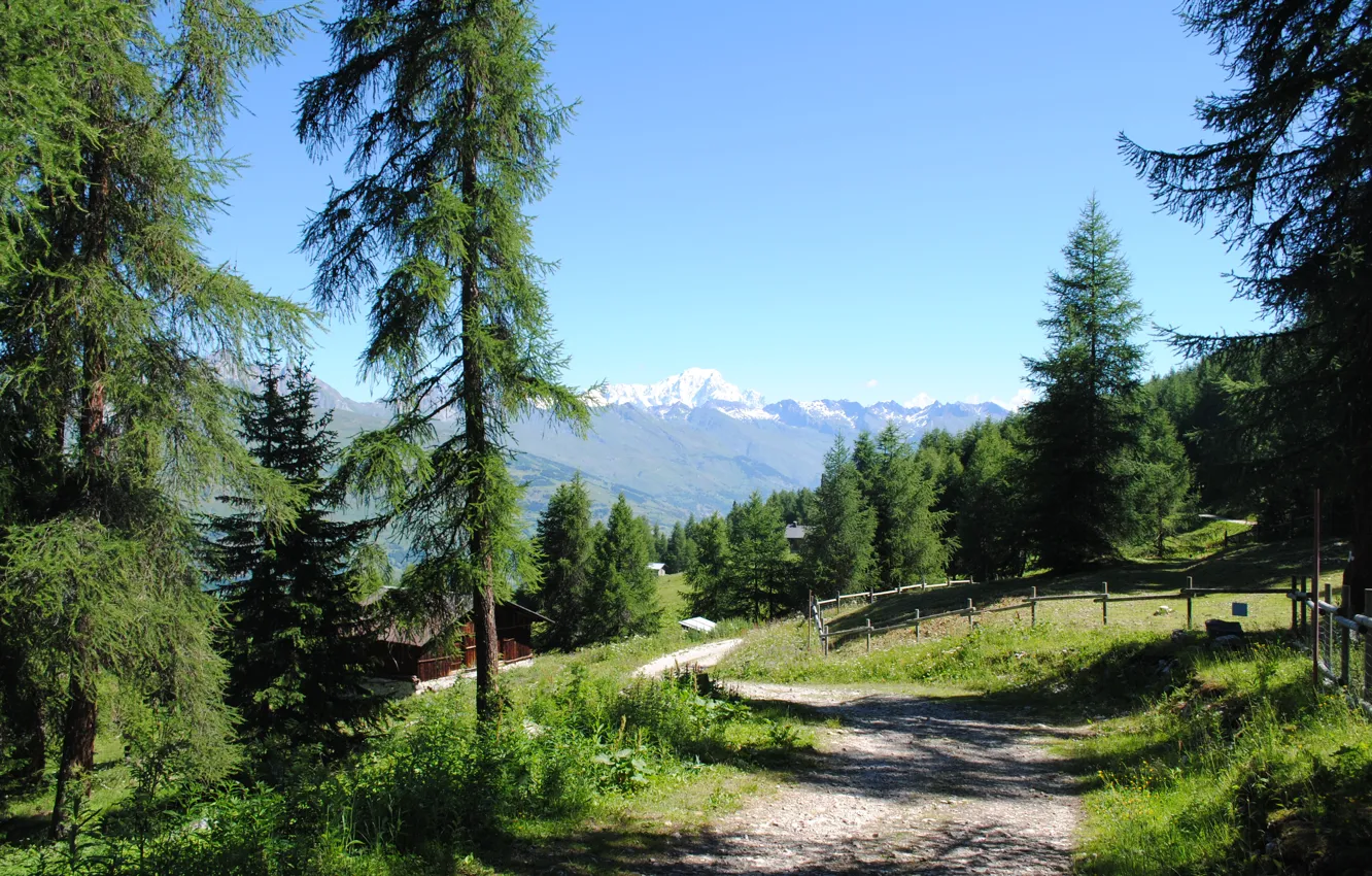Фото обои дорога, лето, село, Альпы