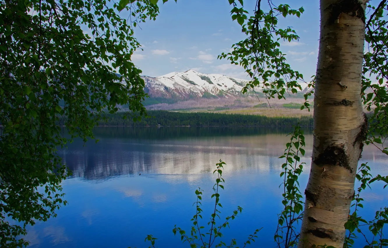 Фото обои небо, снег, деревья, горы, озеро
