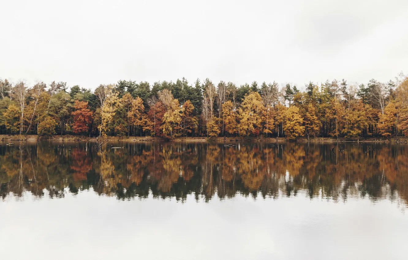 Фото обои autumn, reflection, fall, cloudy, riverside, fall colors, autum colors