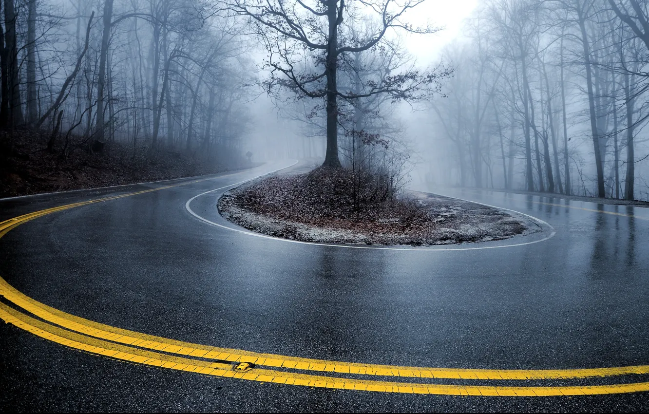 Фото обои дорога, туман, Деревья, поворот
