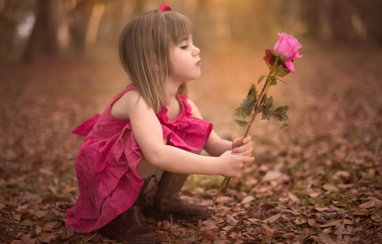 Фото обои осень, цветок, фон, widescreen, обои, роза, ребенок, девочка