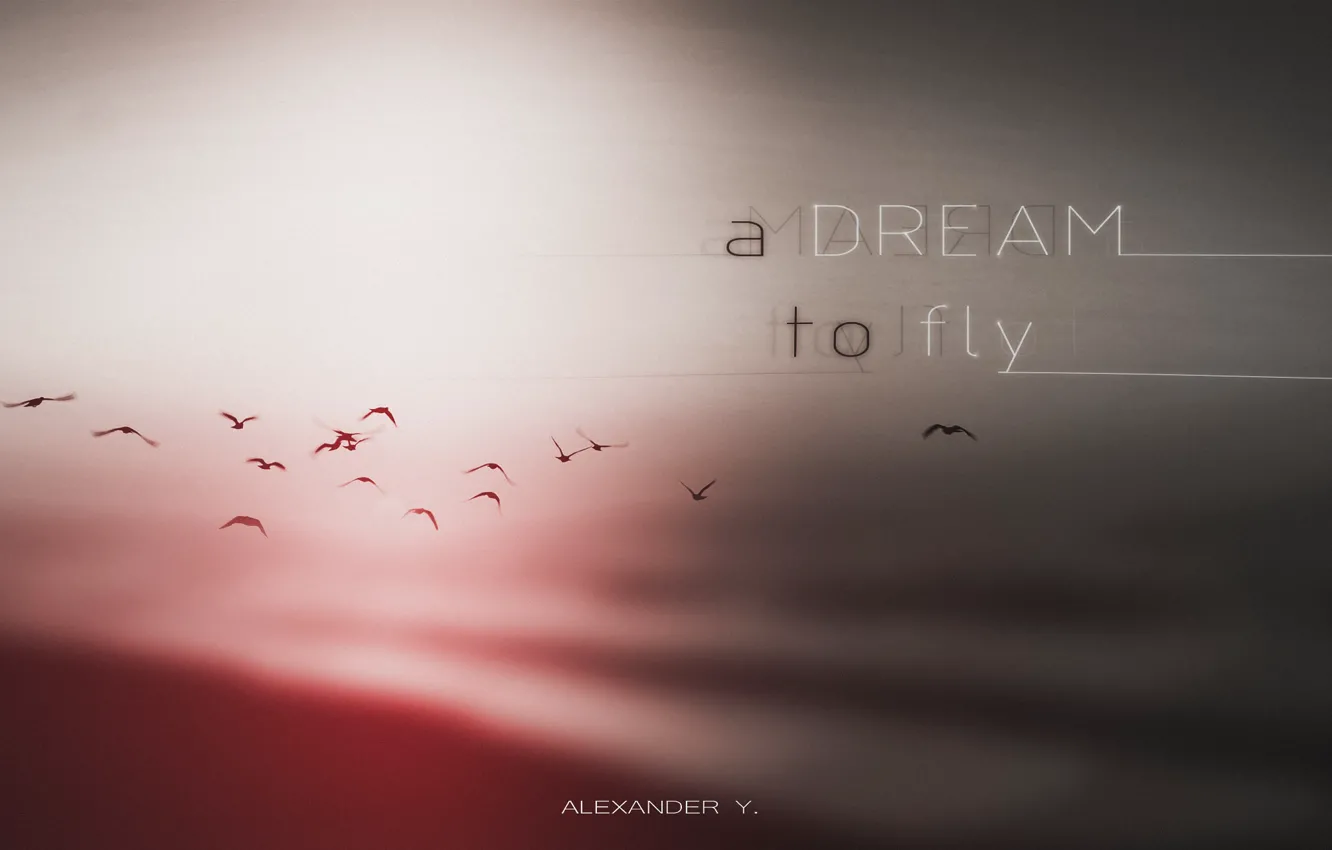 Фото обои dream, minimal, fly, alexander y