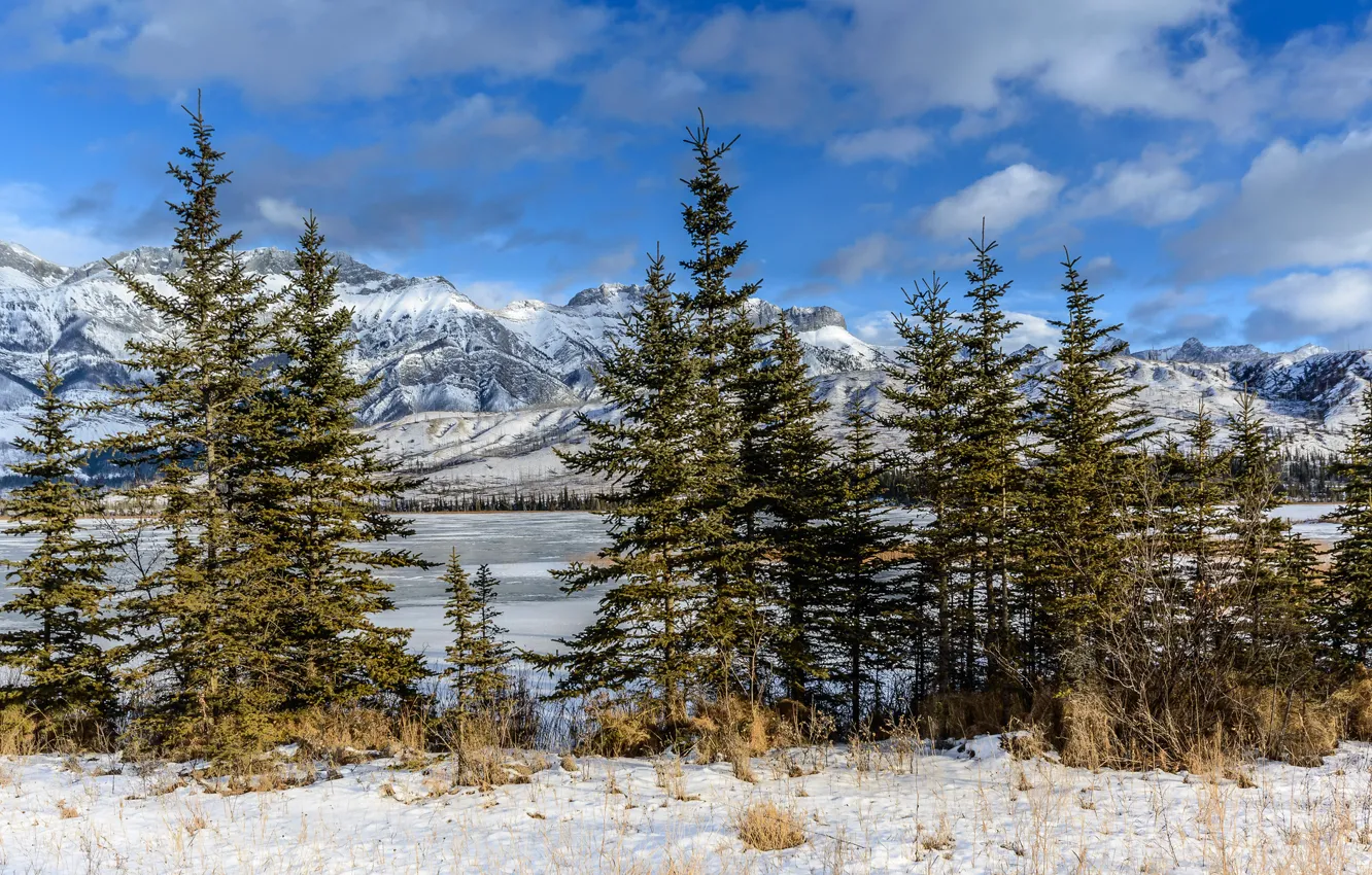 Фото обои снег, горы, озеро, ели, Канада, Альберта, национальный парк, Джаспер