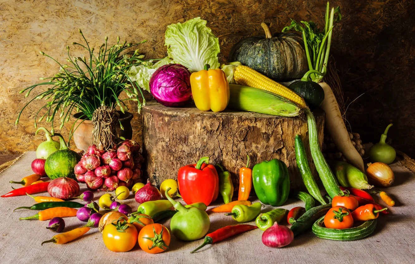 Фото обои пень, кукуруза, лук, тыква, перец, овощи, помидоры, морковь