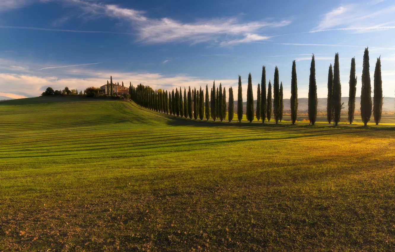 Фото обои поле, Италия, кипарисы, Тоскана