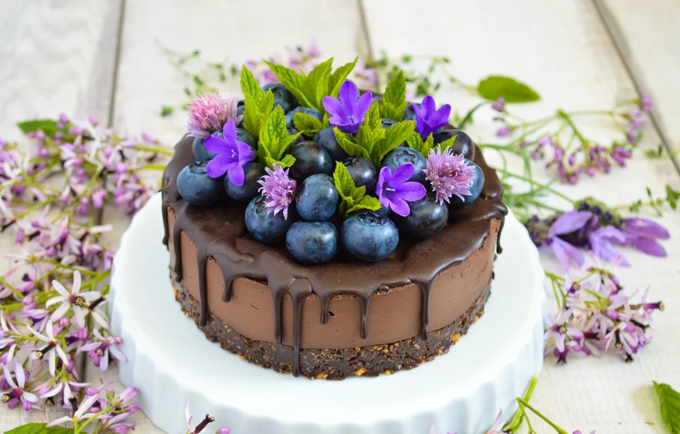 Фото обои цветы, шоколад, торт, голубика