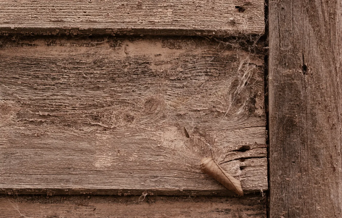Фото обои earth, dirt, wood, door
