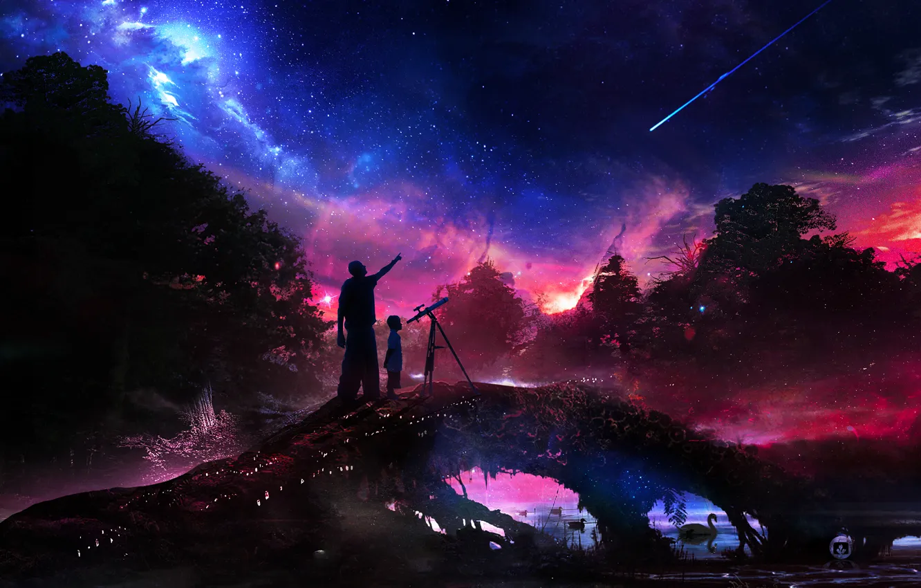 Фото обои лес, небо, вода, космос, деревья, ночь, река, звезда