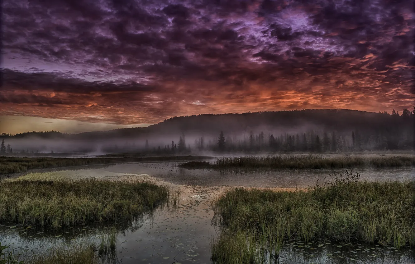 Фото обои облака, туман, река, восход, холм, кусты