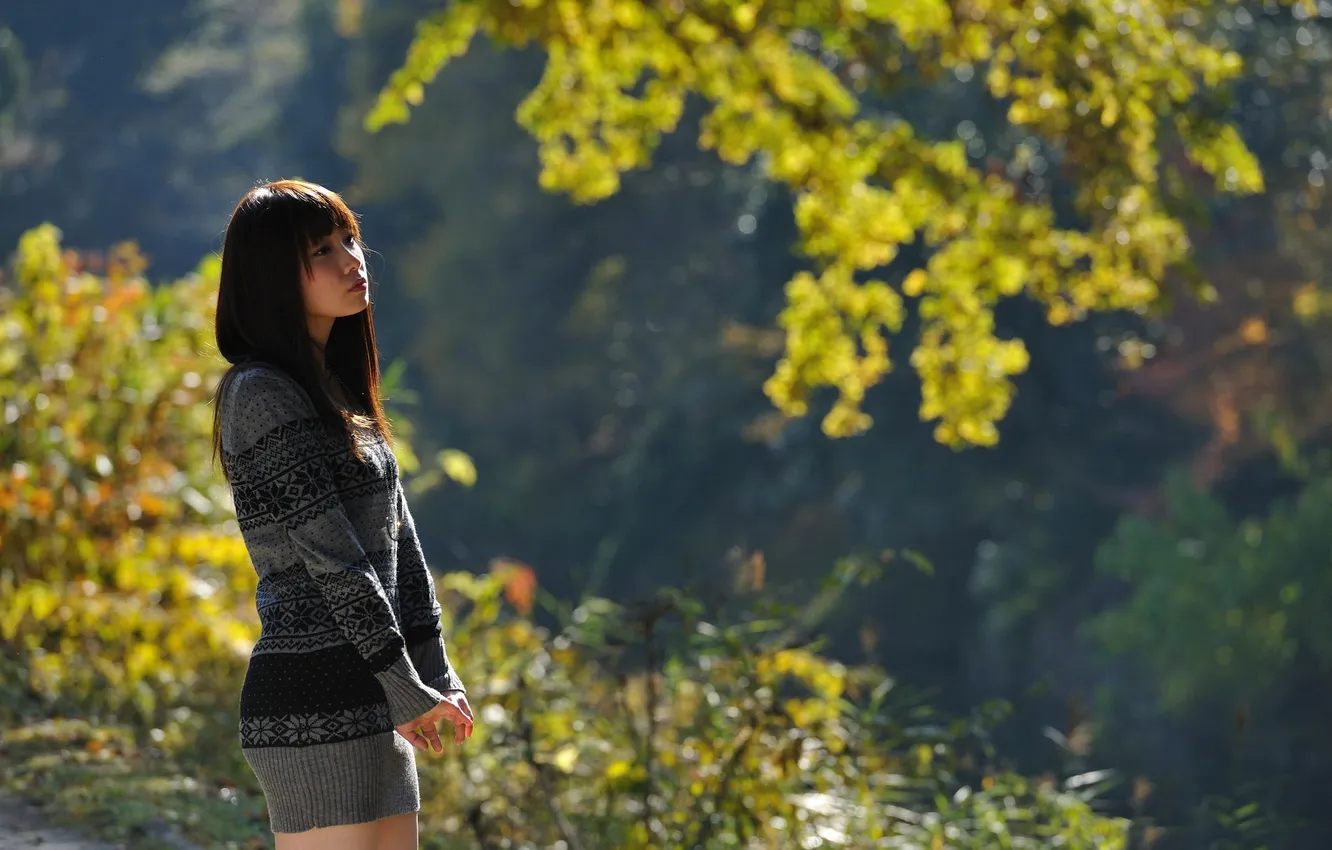 Фото обои свитер, боке, солнечный свет, восточная девушка