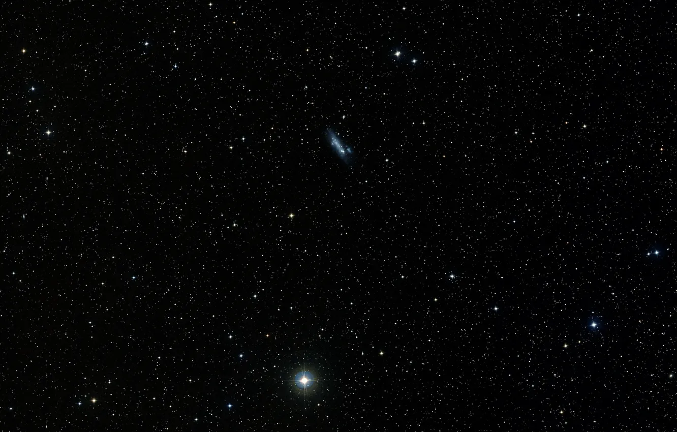 Фото обои Magellanic barred irregular dwarf galaxy, Constellation Camelopardalis, NGC 2366, Markarian 71