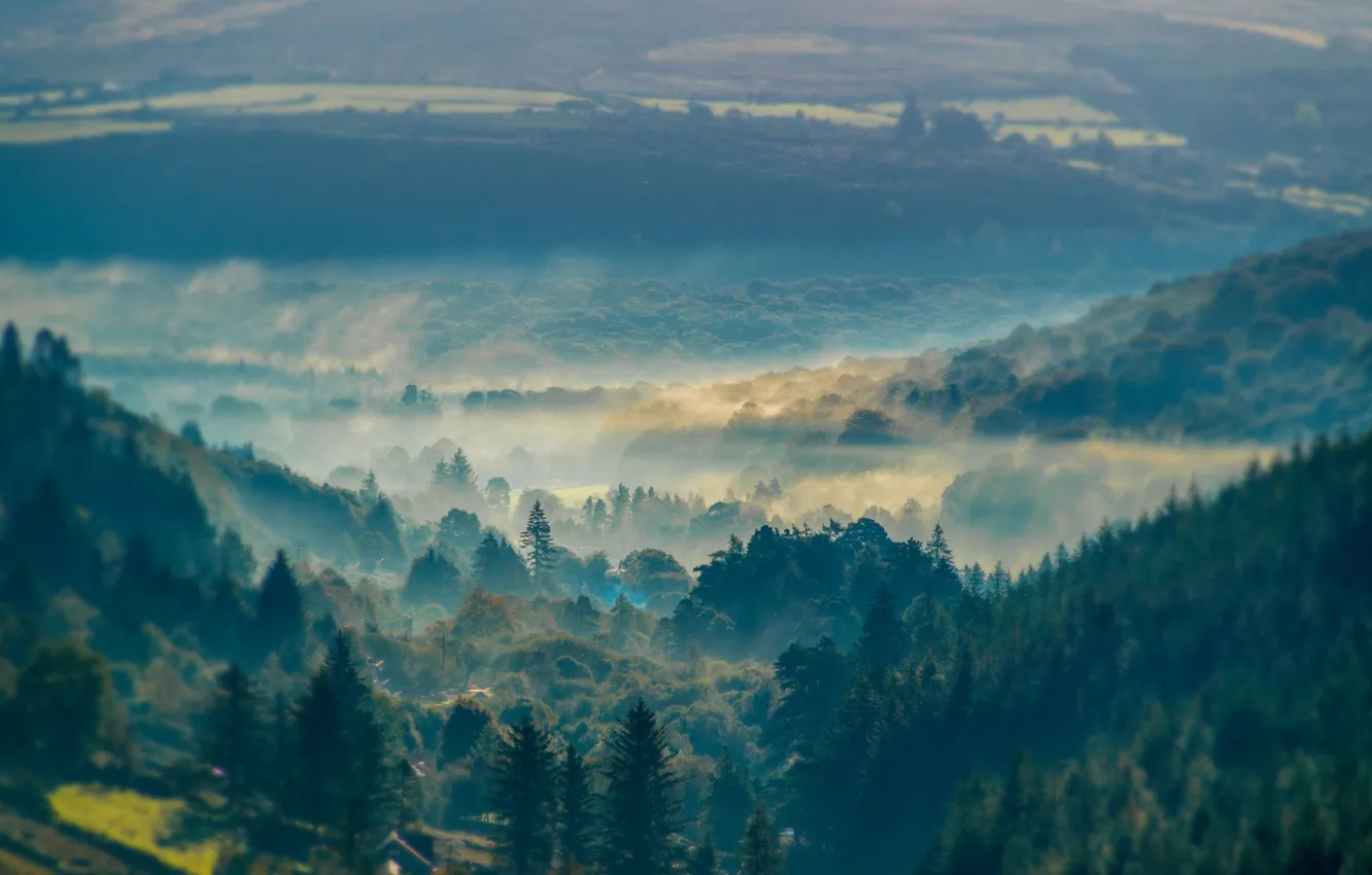 Фото обои деревья, горы, туман, холмы, дымка