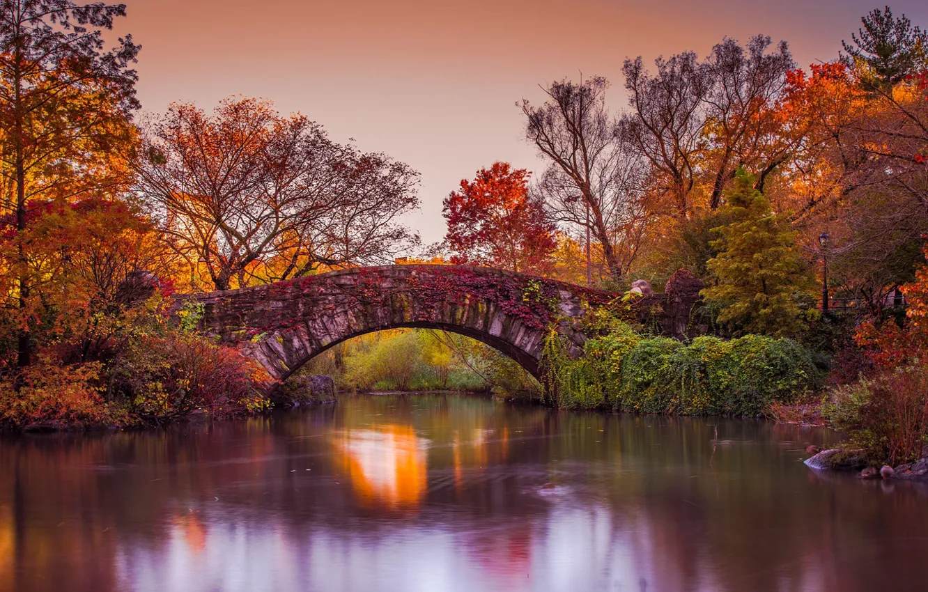 Фото обои осень, деревья, мост, река, Нью-Йорк, New York, фотограф John S
