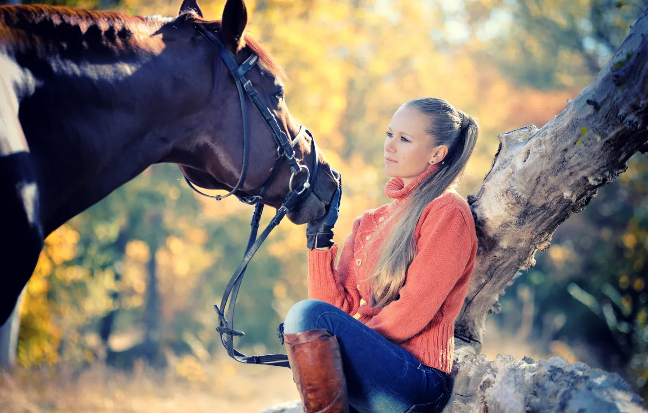 Фото обои осень, девушка, солнце, дерево, лошадь, джинсы, сапоги, прическа