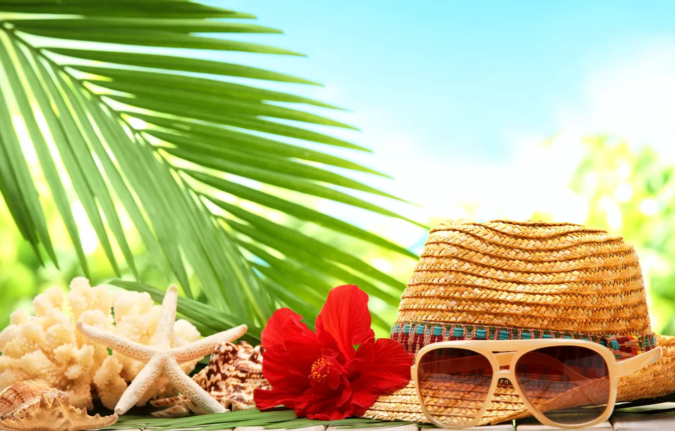 Фото обои море, пляж, цветок, пальма, шляпа, ракушка