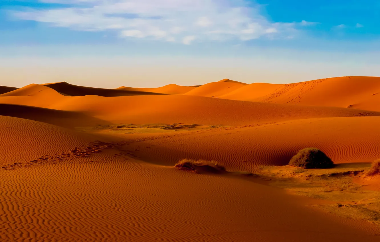 Фото обои песок, небо, облака, пустыня, бархан