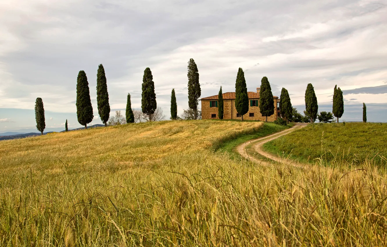 Фото обои поле, небо, деревья, дом, холм, Италия, Пьенца, Сиена