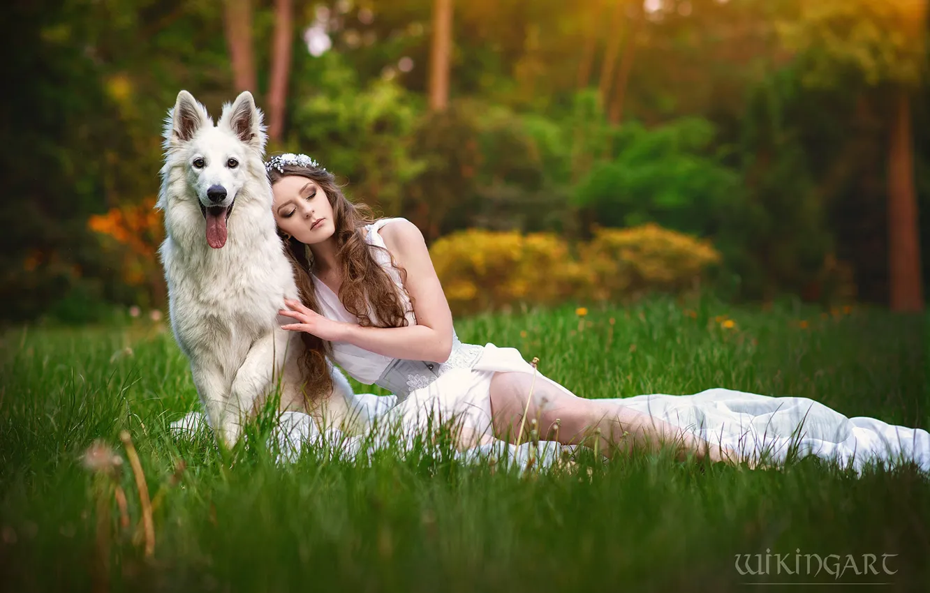 Фото обои девушка, природа, поза, стиль, поляна, собака, макияж, костюм