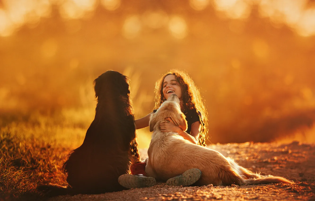 Фото обои собаки, радость, улыбка, позитив, девочка, girl, smile, dogs