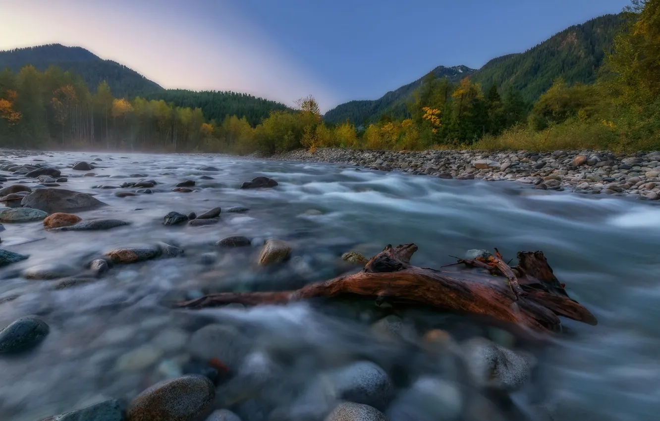 Фото обои природа, река, камни, течение, США, коряга, Скайкомиш, Skykomish