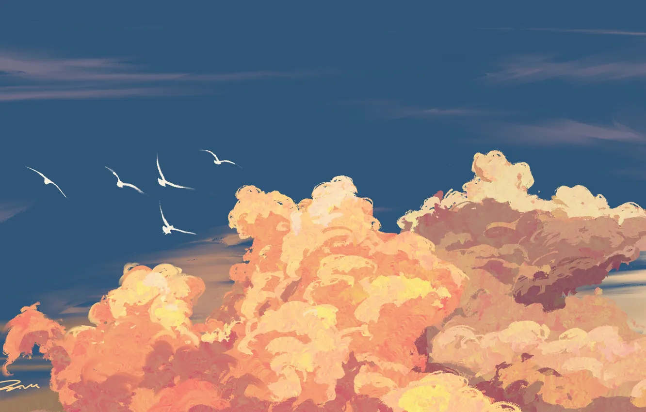 Фото обои небо, облака, птицы