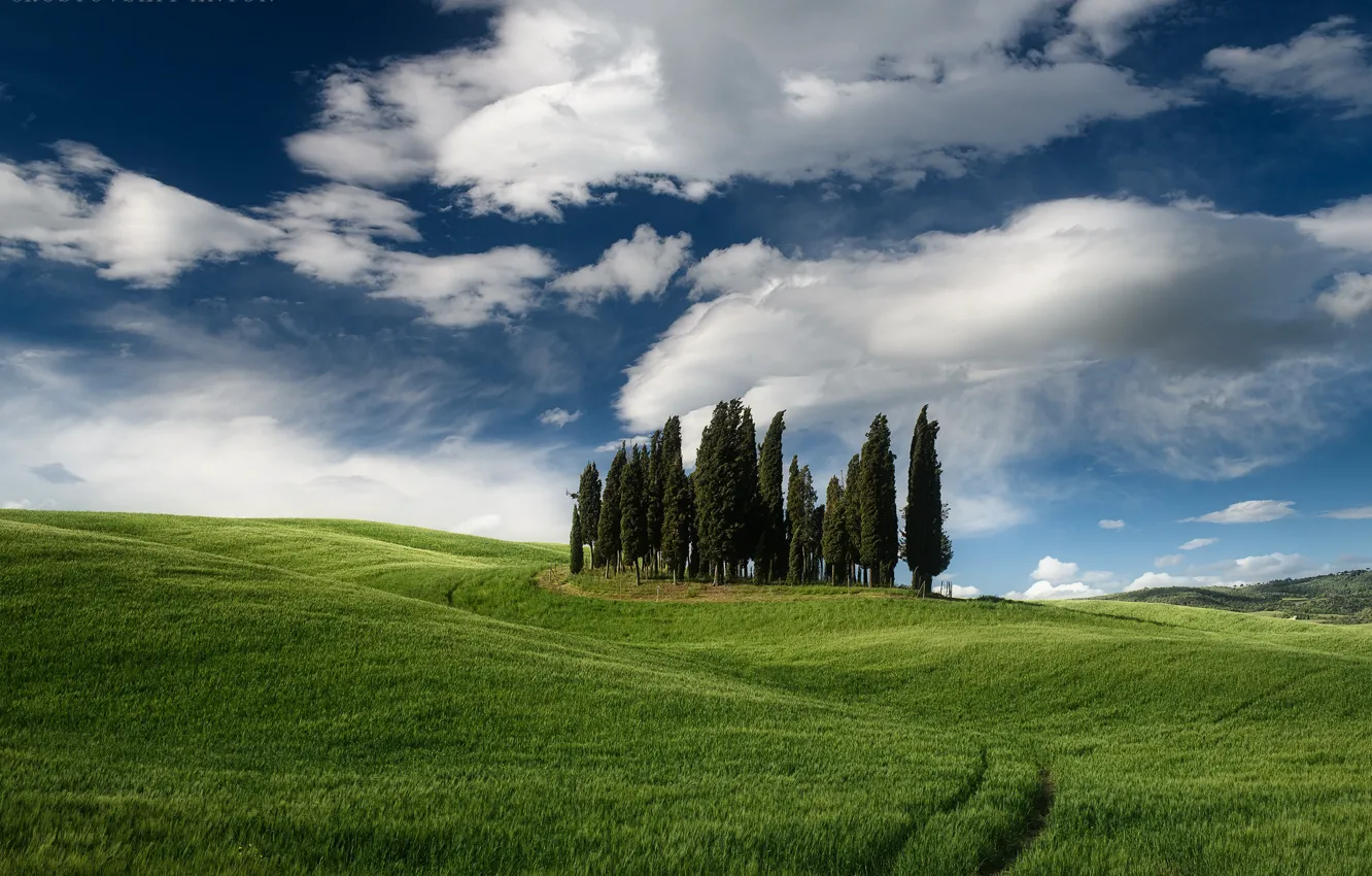 Фото обои небо, деревья, долина, Италия, Тоскана, Ростовский Антон