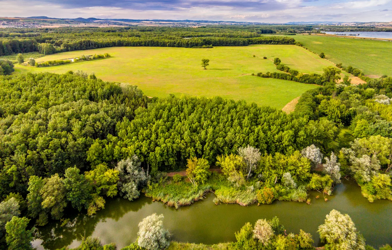 Фото обои зелень, поле, лес, лето, деревья, река, Чехия, панорама
