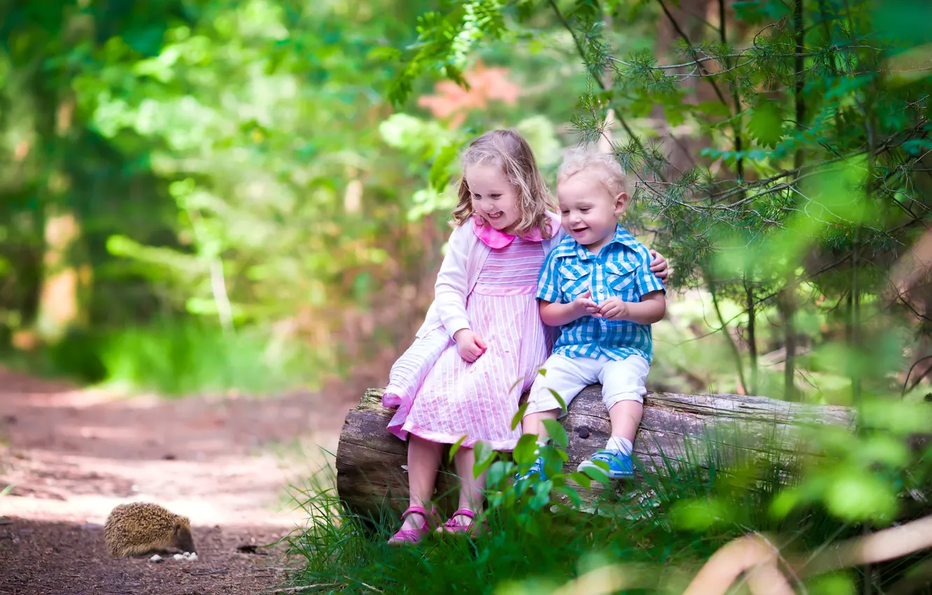 Фото обои лес, деревья, радость, дети, мальчик, маленькие, девочка, ежик