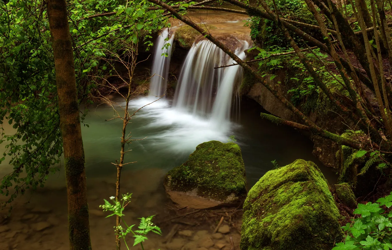 Фото обои зелень, листья, ветки, природа, камни, дерево, берег, водопад