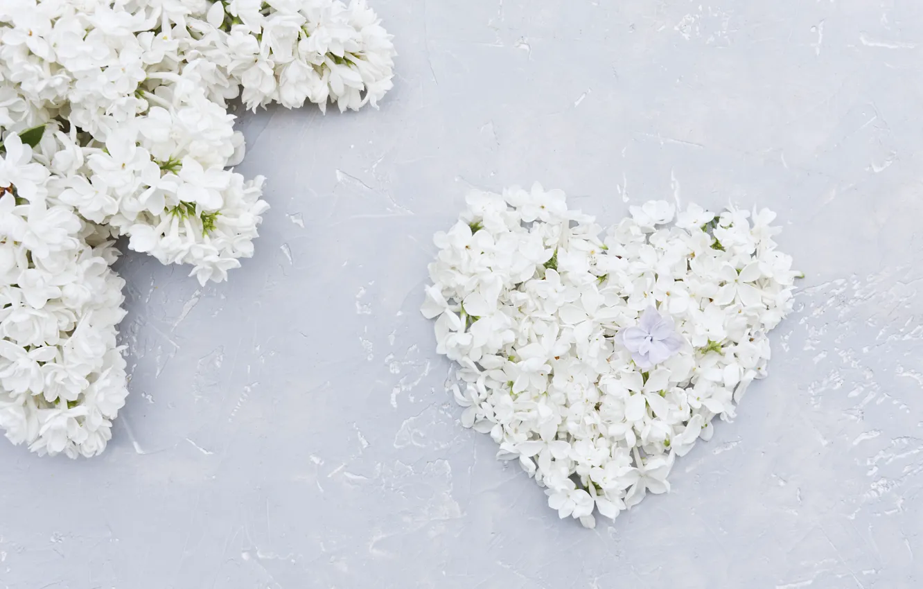 Фото обои цветы, сердце, белая, love, white, heart, wood, flowers