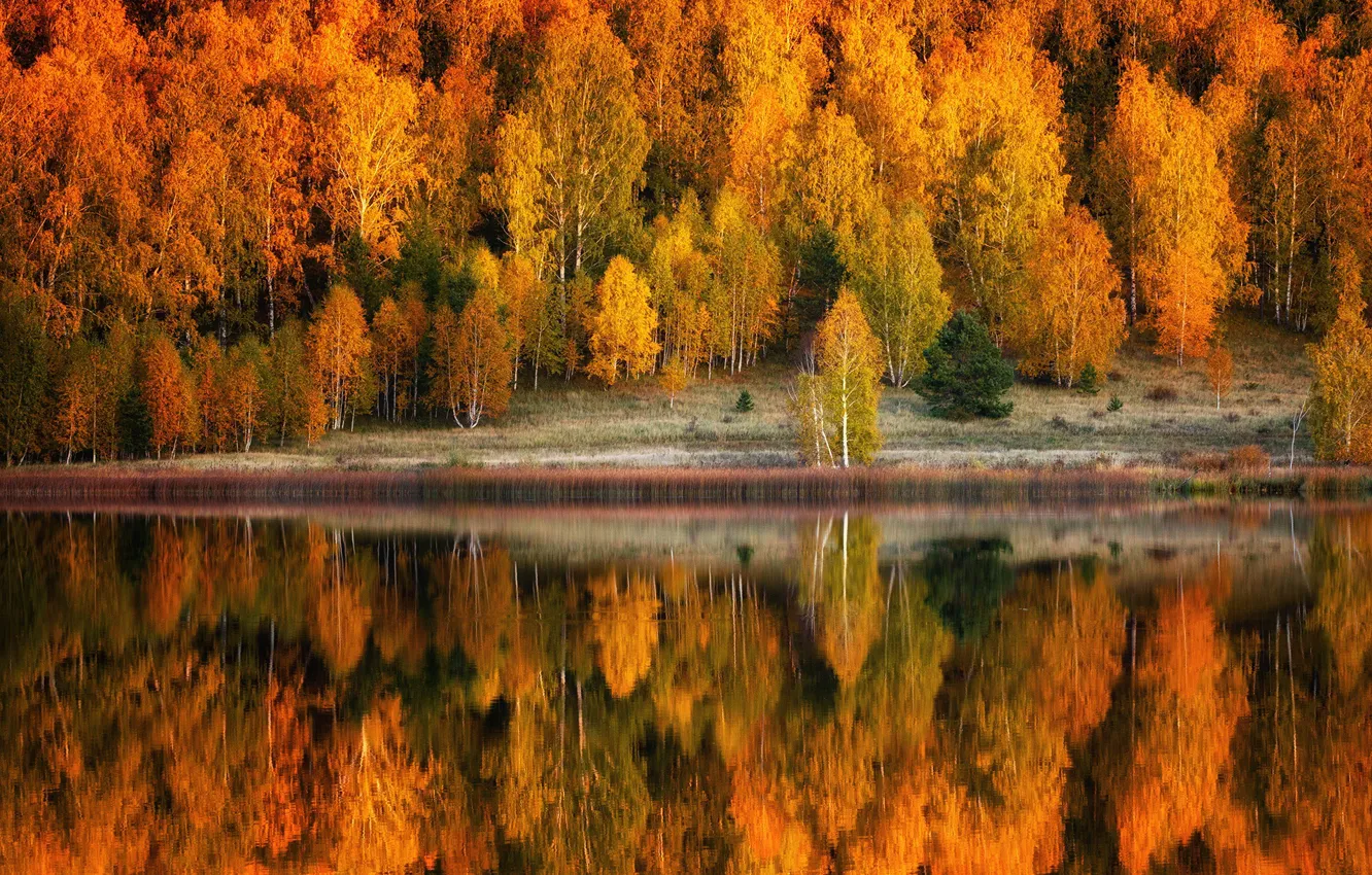 Фото обои осень, лес, деревья, пейзаж, природа, озеро, отражение, берег