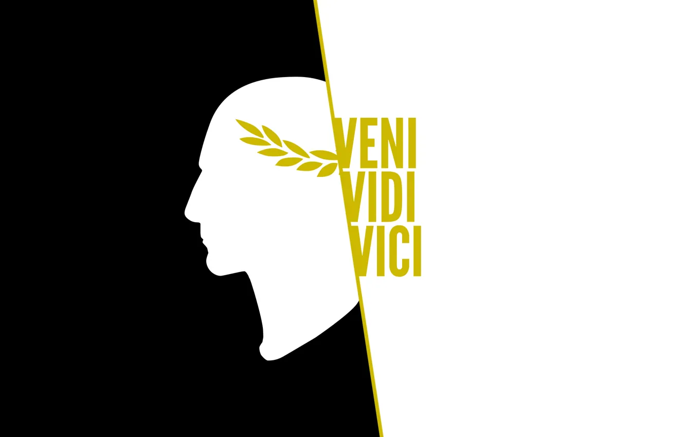 Фото обои veni, vici, vidi