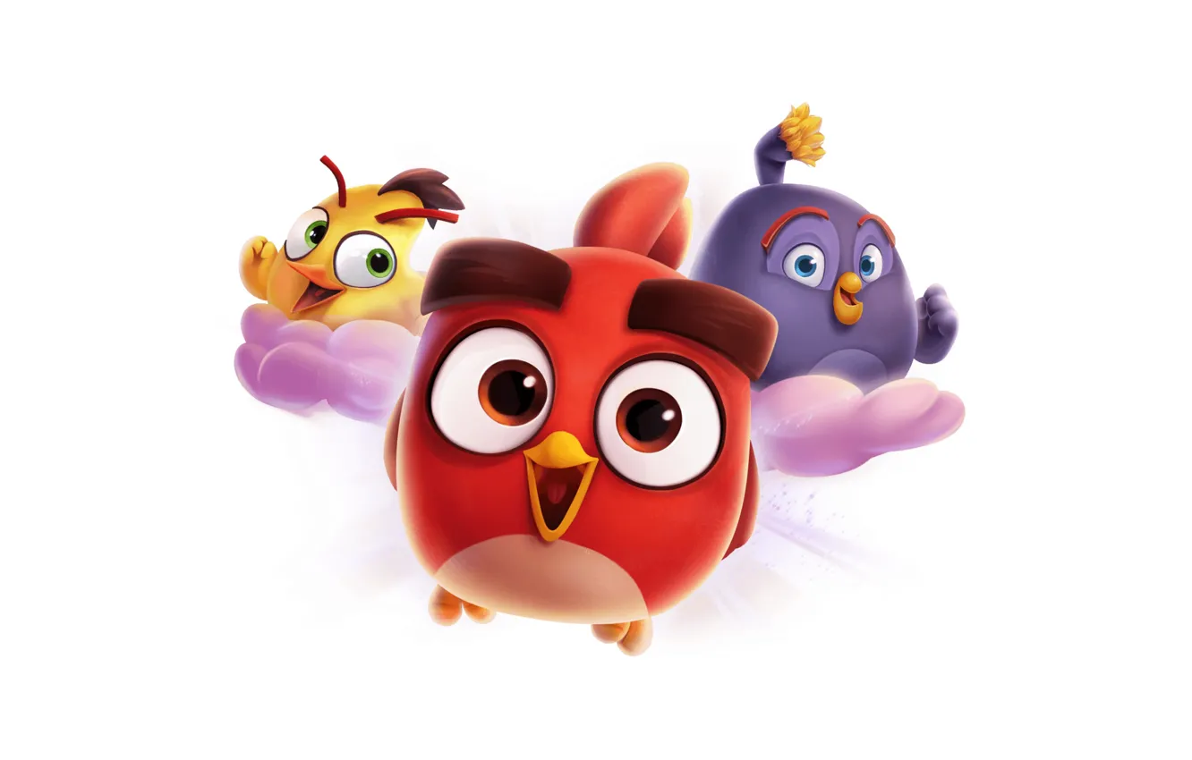 Фото обои птицы, обои, игра, картинки, белый фон, wallpaper, angry birds, на рабочий стол