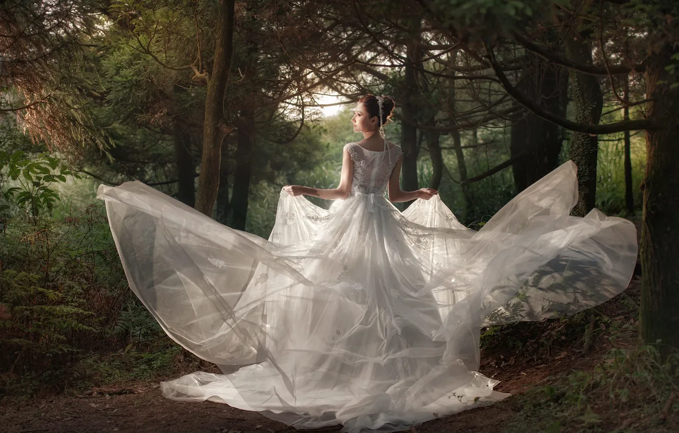 Фото обои лес, девушка, невеста, свадебное платье