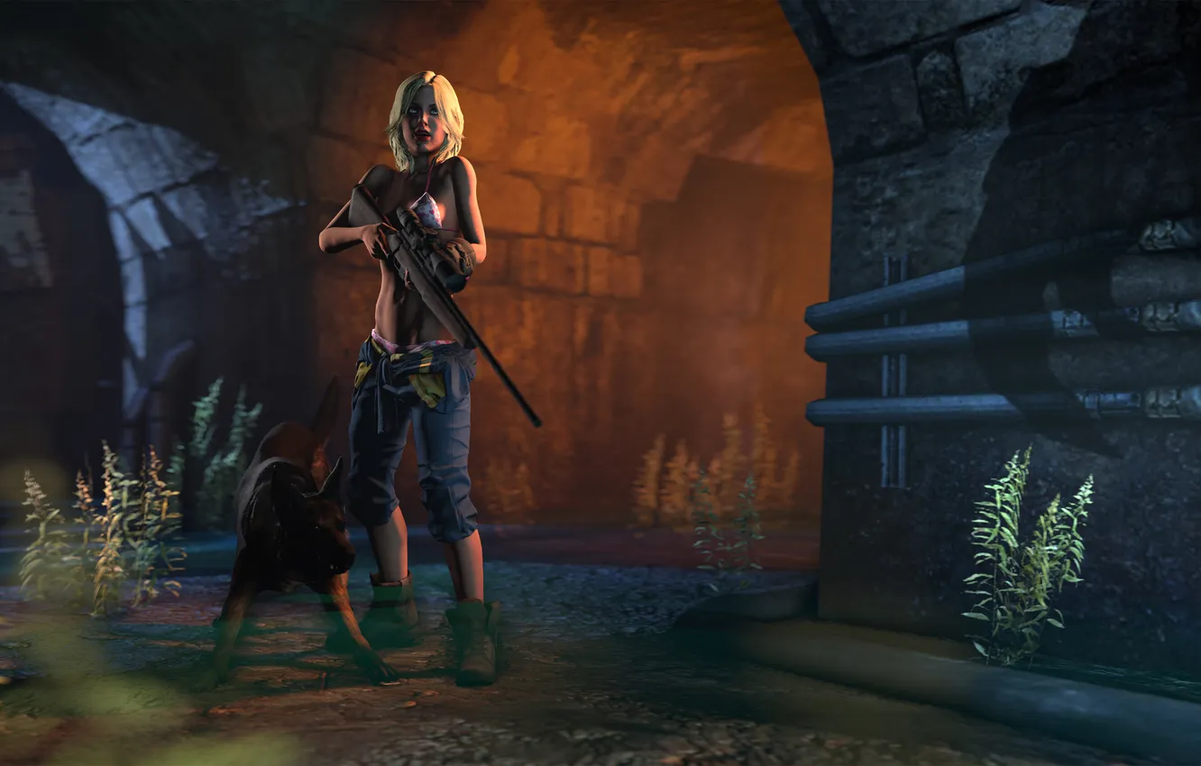 Фото обои грудь, девушка, тень, собака, пес, враг, sniper rifle, fallout 4