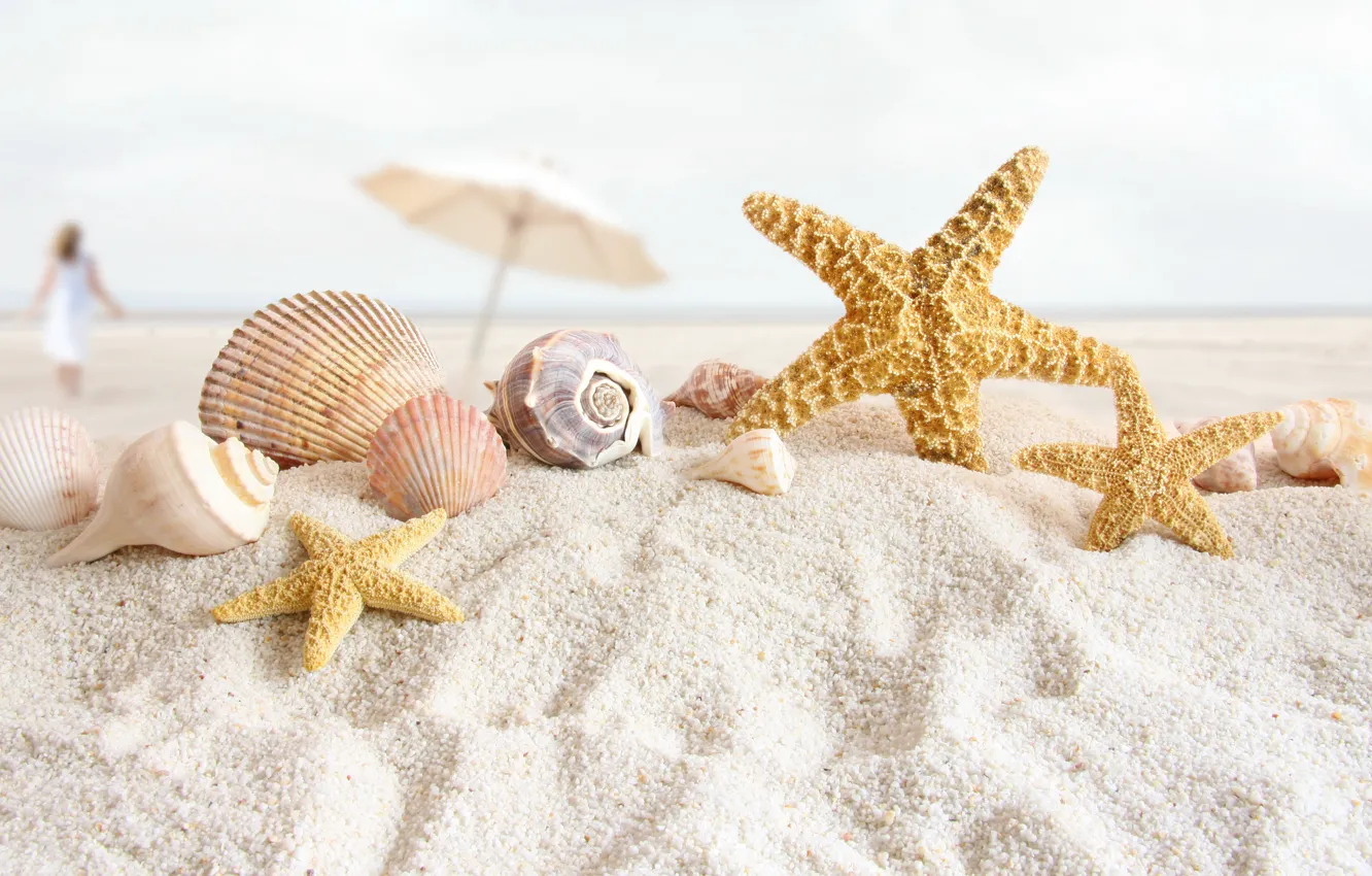 Фото обои песок, море, пляж, стиль, зонтик, берег, ракушки, морские звезды