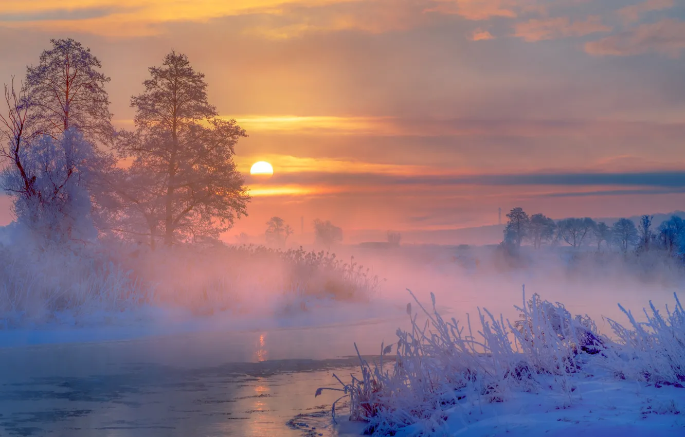 Фото обои зима, снег, деревья, туман, река, восход, рассвет, утро