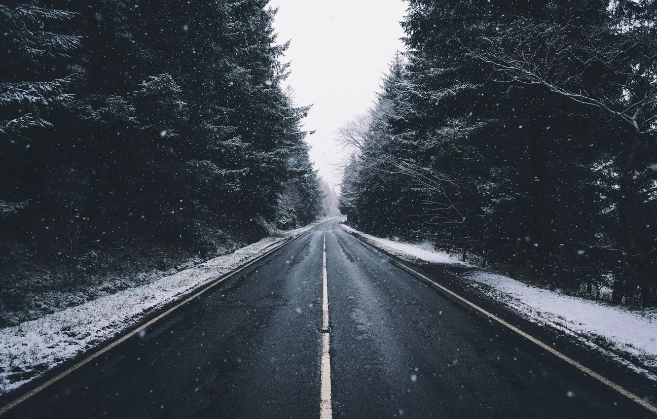 Фото обои холод, дорога, лес, снег, деревья, Зима
