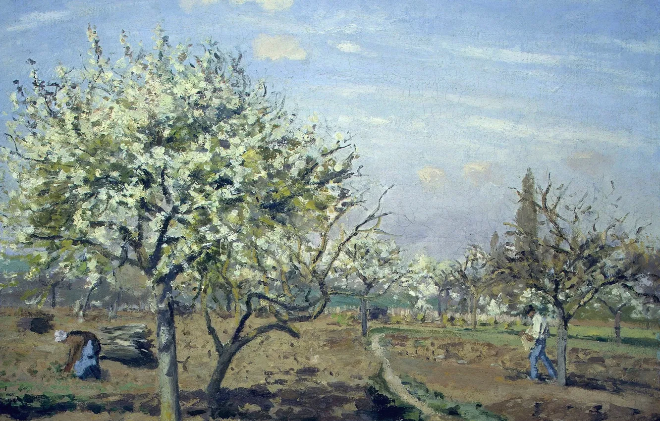 Фото обои деревья, пейзаж, картина, весна, Камиль Писсарро, Сад в Цвету. Лувесьен
