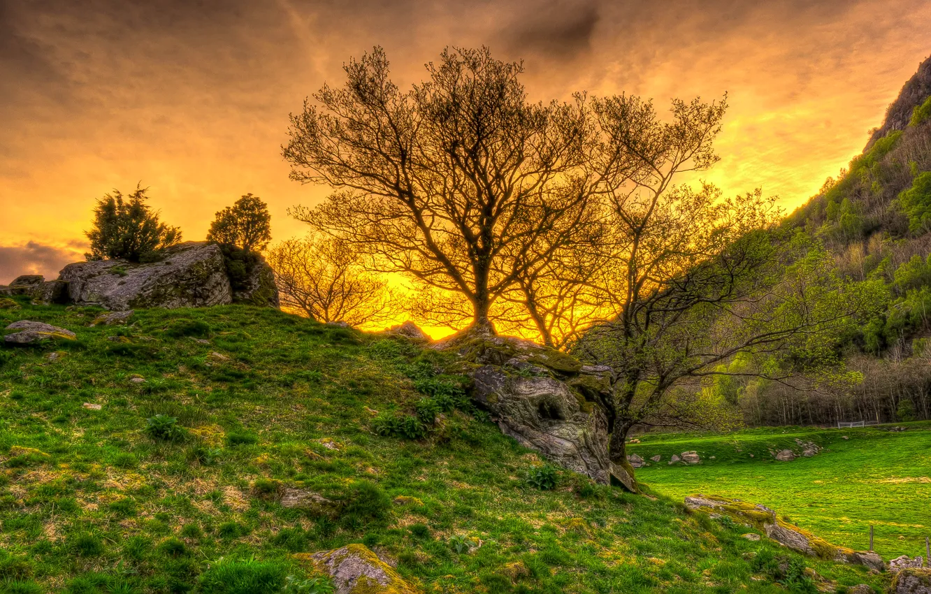 Фото обои небо, трава, деревья, закат, горы, камни, hdr