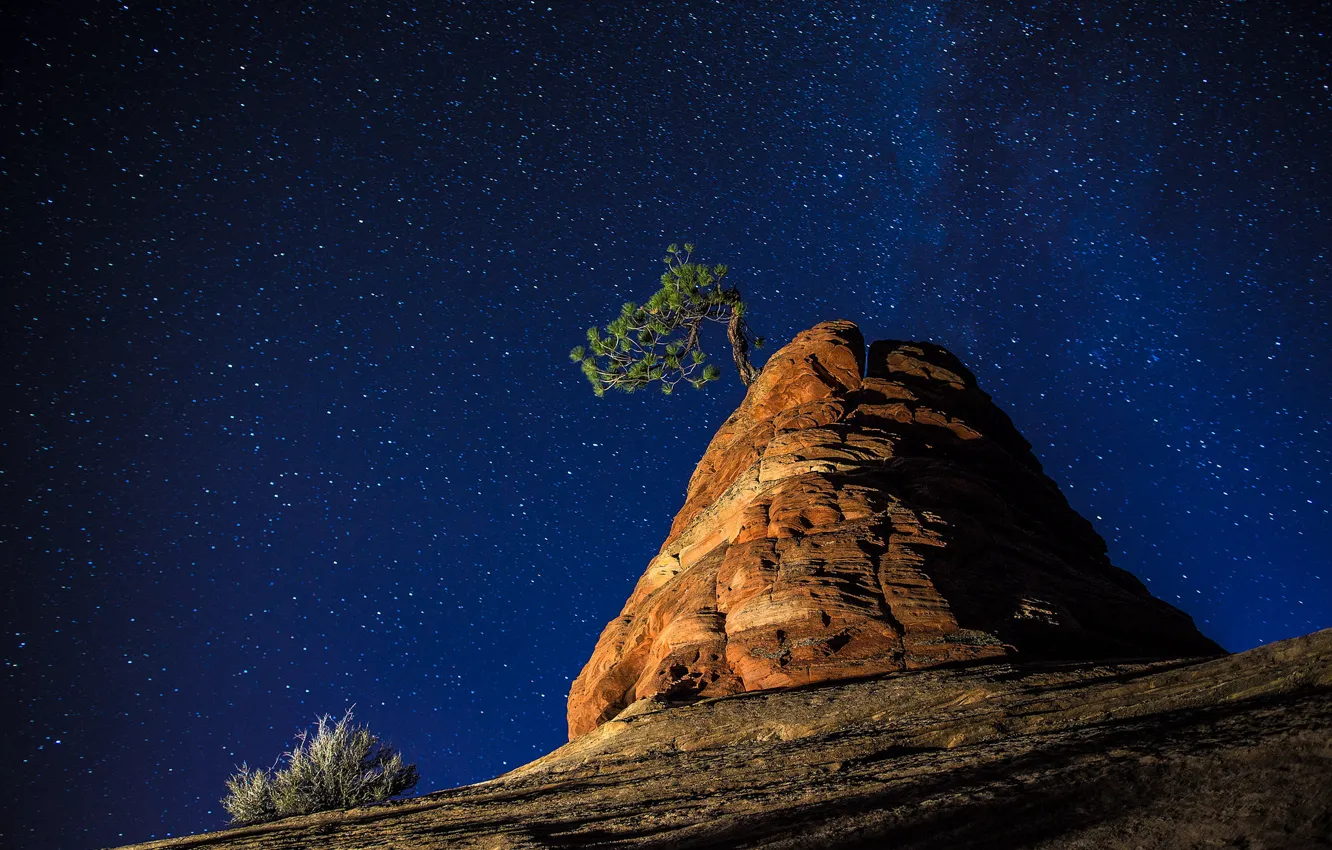 Фото обои небо, звезды, ночь, природа, дерево, скалы