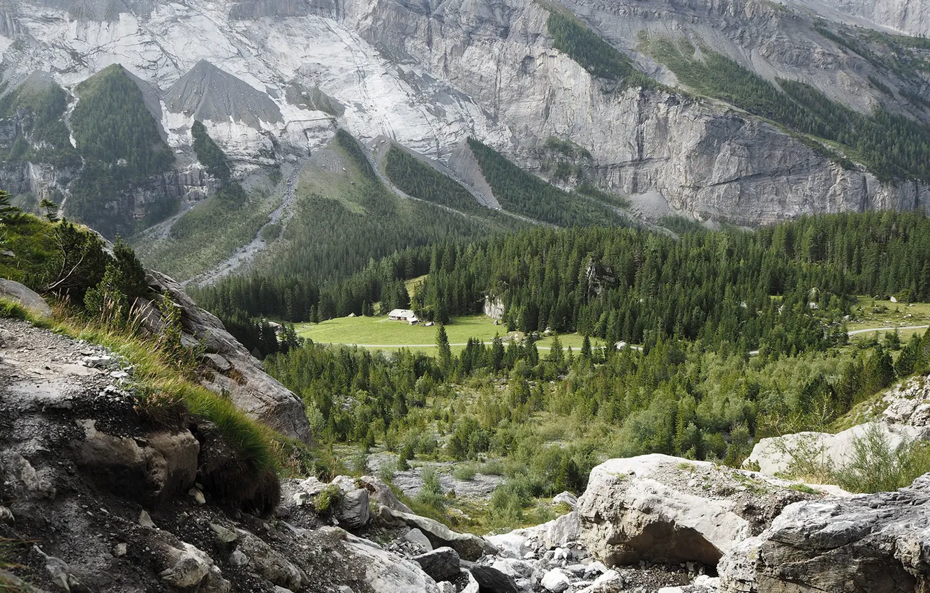 Фото обои деревья, горы, долина, Switzerland, поселение