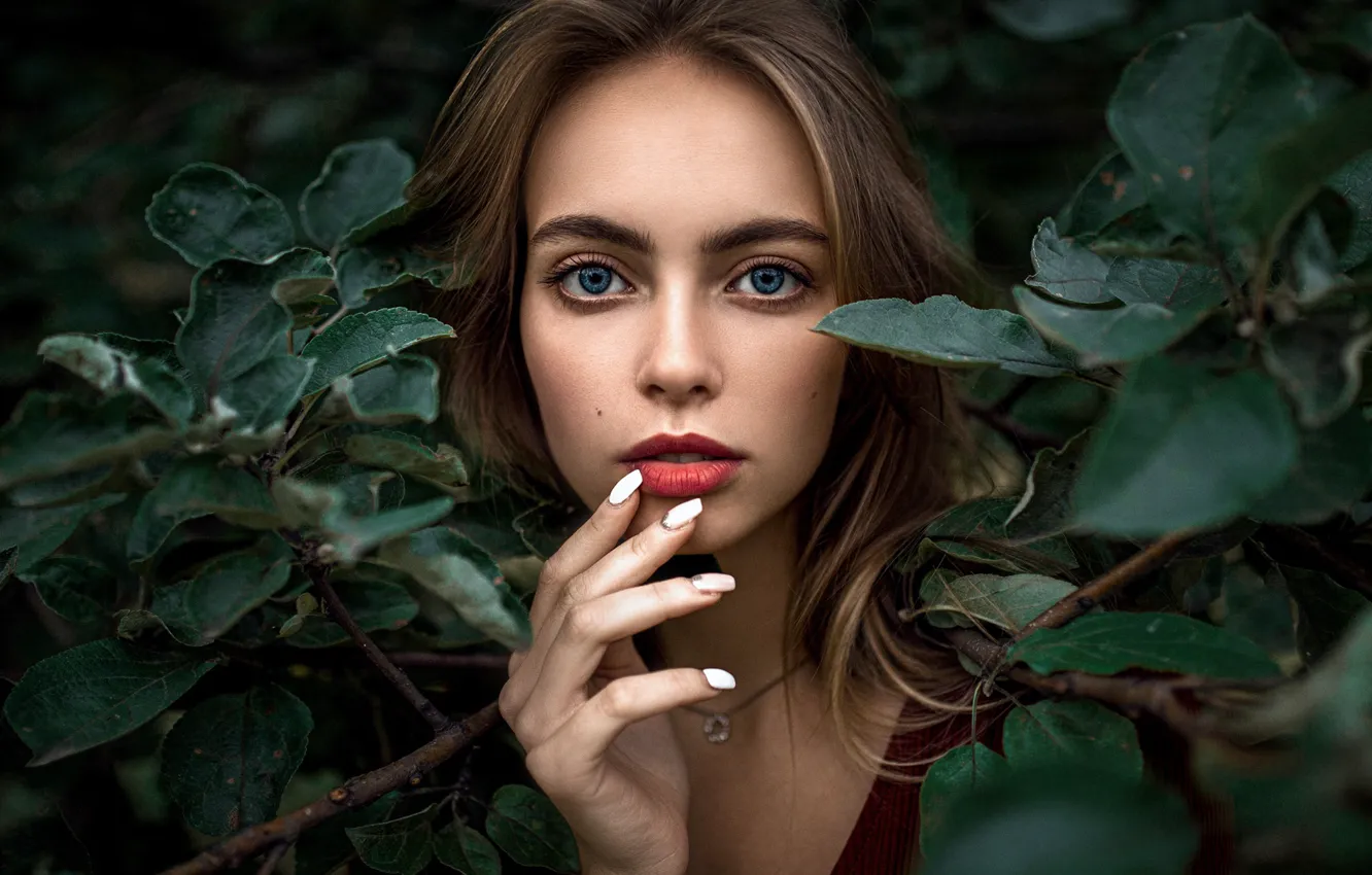 Фото обои глаза, взгляд, девушка, портрет, губы, листы, Александр Куренной