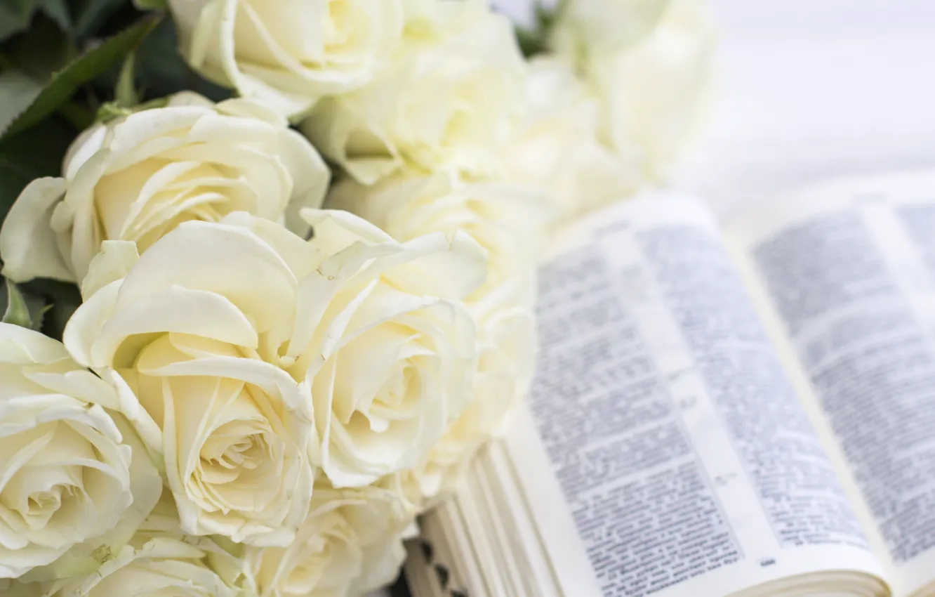 Фото обои букет, бутоны, белые розы