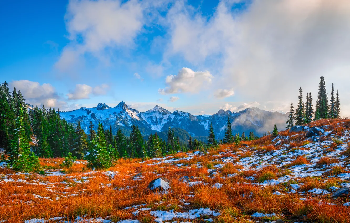 Фото обои облака, снег, пейзаж, горы, США, Mount Rainier National Park