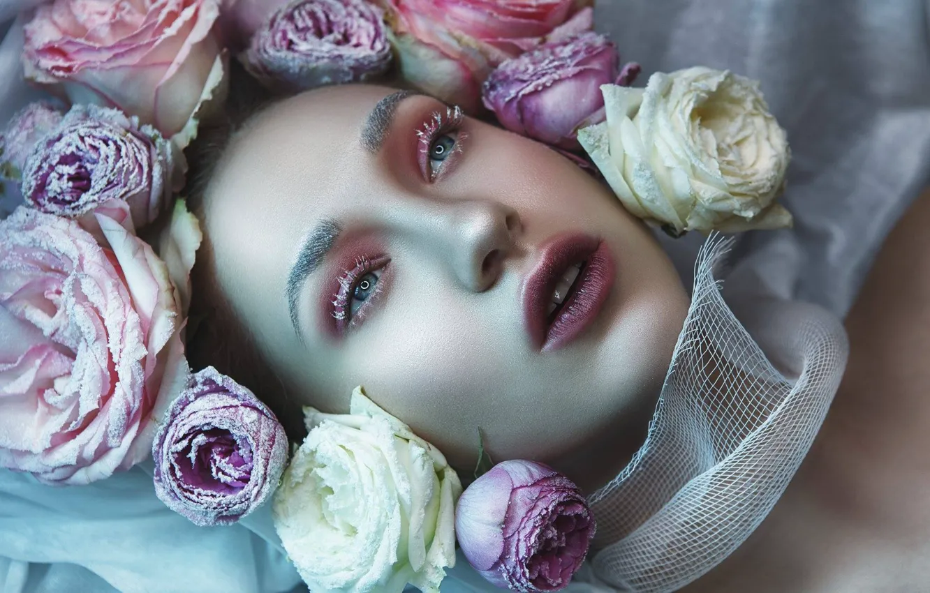 Фото обои девушка, цветы, лицо, стиль, розы, макияж, бутоны, Катерина Клио‎
